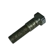 Болт 10.01.15.638 L=65